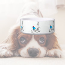 Blauwe vogel met Kerstmis