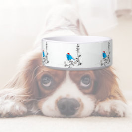 Blauwe vogel met Kerstmis Voerbakje