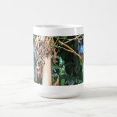 Blauwe vogel met lange kop (Center)