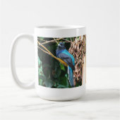 Blauwe vogel met lange kop (Links)