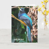 Blauwe vogel met lange staarten op de geboorte kaart (Gele Bloem)