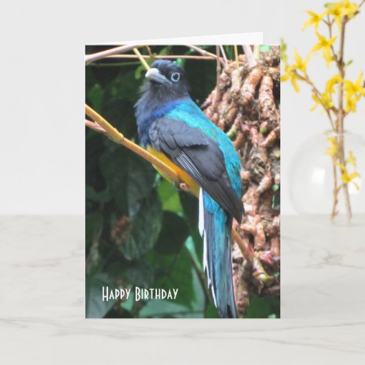 Blauwe vogel met lange staarten op de geboorte kaart (Gele Bloem)