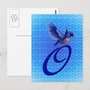Blauwe Vogel Monogram Initiaal O Elegant Briefkaart