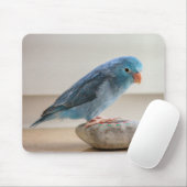 Blauwe Vogel Muismat (Met muis)