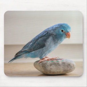 Blauwe Vogel Muismat