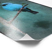Blauwe Vogel op Tak Mixed Media Foto Afdruk (Hoek)