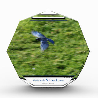 Blauwe vogel over een groen veld. fotoblokken