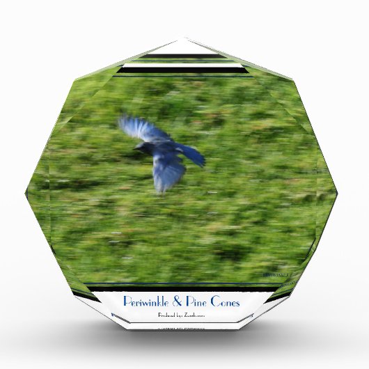 Blauwe vogel over een groen veld. fotoblokken (Voorkant)