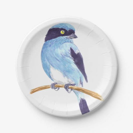 Blauwe vogel papieren bordje (Voorkant)