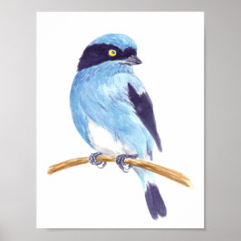 Blauwe vogel poster