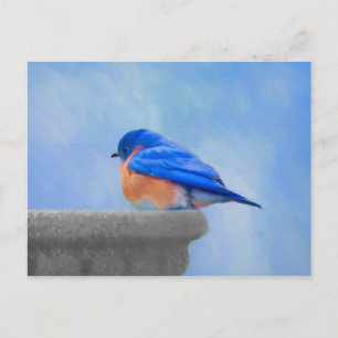 Blauwe Vogel Schilderij - Originele Vogel Kunst Briefkaart