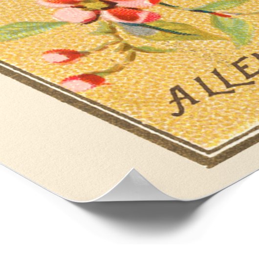 Blauwe Vogel, Set van 8 (2 van 8) Vogelgalerij Muu Poster (Hoek)