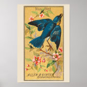 Blauwe Vogel, Set van 8 (2 van 8) Vogelgalerij Muu Poster (Voorkant)