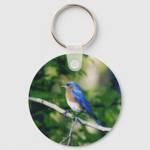 Blauwe vogel sleutelhanger