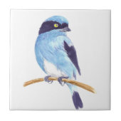 Blauwe vogel tegeltje (Voorkant)