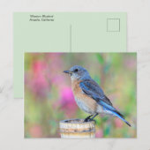 Blauwe vogel tegen een roze en groene achtergrond briefkaart (Voorkant / Achterkant)