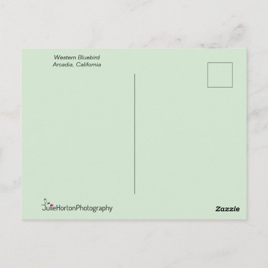 Blauwe vogel tegen een roze en groene achtergrond briefkaart (Achterkant)