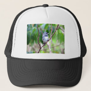 Blauwe vogel trucker pet