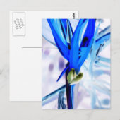 Blauwe vogel van Paradise Briefkaart (Voorkant / Achterkant)