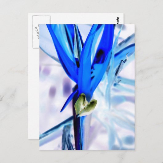 Blauwe vogel van Paradise Briefkaart (Voorkant / Achterkant)