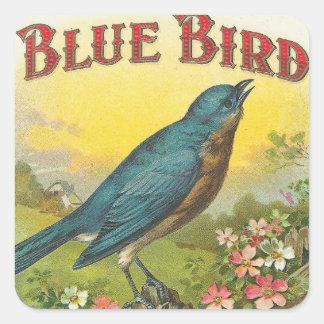 Blauwe vogel vierkante sticker