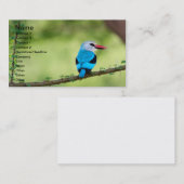 Blauwe vogel visitekaartje (Voorkant / Achterkant)