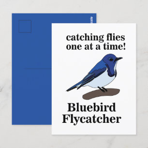 Blauwe Vogel Vogel Liefhebber Grappig Briefkaart