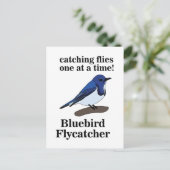 Blauwe Vogel Vogel Liefhebber Grappig Briefkaart (Staand voorkant)
