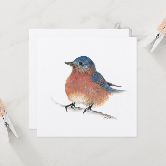 Blauwe vogelkaart kaart (Voorkant / Achterkant in situ)