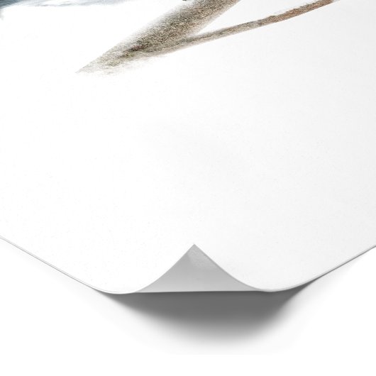 Blauwe vogelpest afdrukken poster (Hoek)