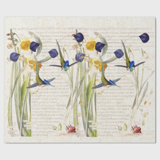 Blauwe vogelpest Daffodil Narcissus Flowers Cadeaupapier (Vlak)