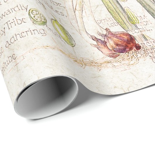 Blauwe vogelpest Daffodil Narcissus Flowers Cadeaupapier (Rol Hoek)