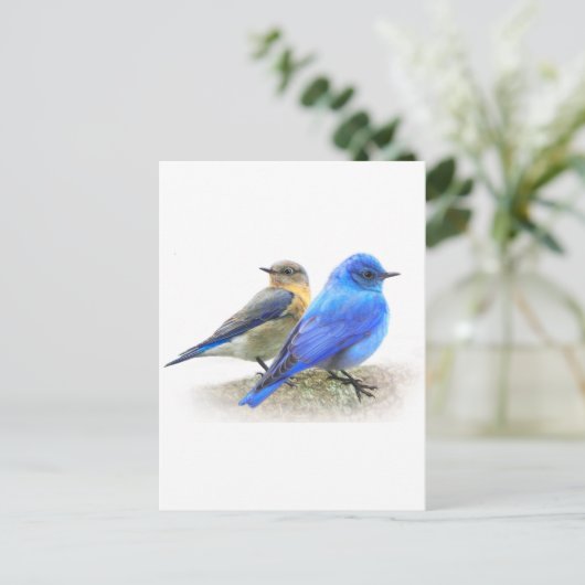 blauwe vogelpest, mannelijke en vrouw-gebergte briefkaart (Staand voorkant)