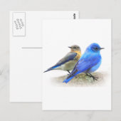 blauwe vogelpest, mannelijke en vrouw-gebergte briefkaart (Voorkant / Achterkant)