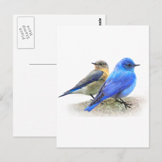 blauwe vogelpest, mannelijke en vrouw-gebergte briefkaart (Voorkant / Achterkant)