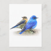 blauwe vogelpest, mannelijke en vrouw-gebergte briefkaart (Voorkant)