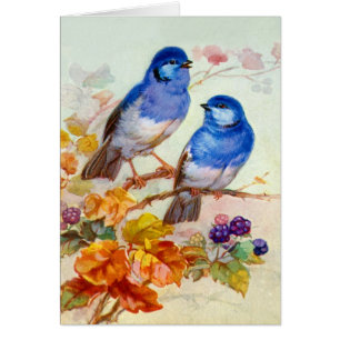 Blauwe vogels
