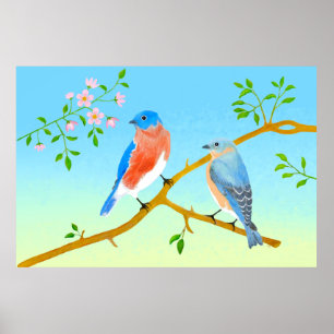 Blauwe vogels Bleekblauw & Groen Poster