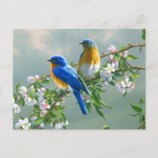 Blauwe vogels briefkaart (Voorkant)