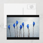 Blauwe vogels briefkaart (Voorkant / Achterkant)