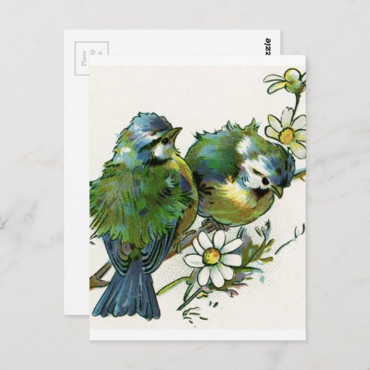 blauwe vogels briefkaart (Voorkant / Achterkant)