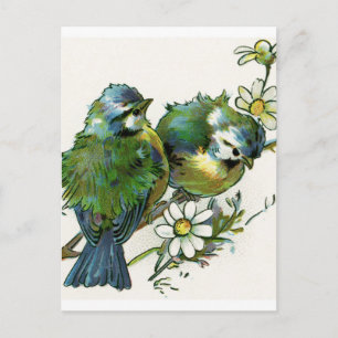 blauwe vogels briefkaart