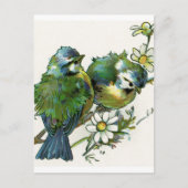 blauwe vogels briefkaart (Voorkant)