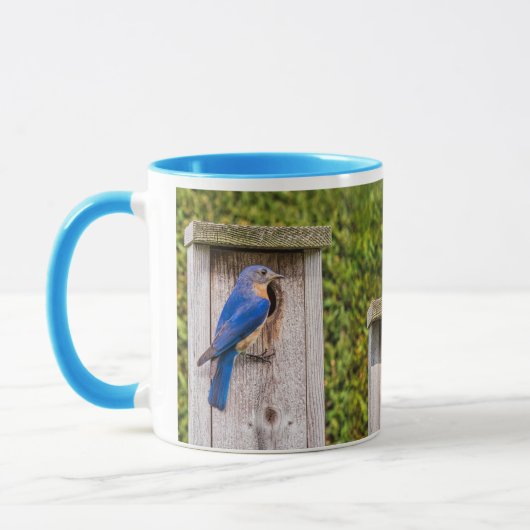 blauwe vogels mok (Links)