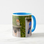 blauwe vogels mok (Voorkant rechts)