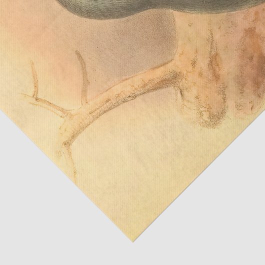 Blauwe Vogels Mooie Decopage Tissuepapier (Detail)