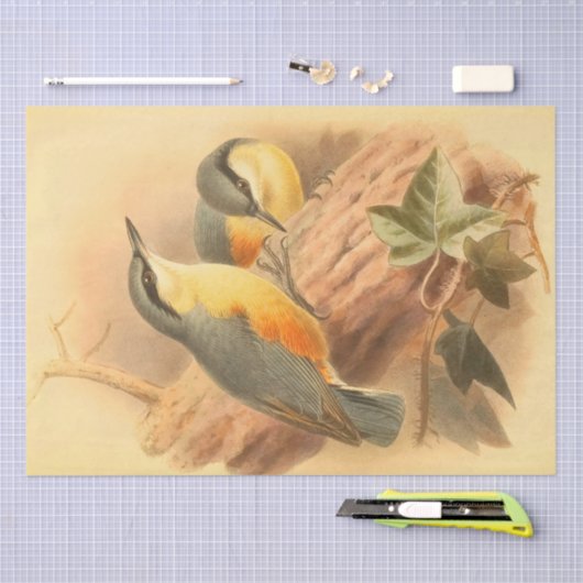 Blauwe Vogels Mooie Decopage Tissuepapier (Craft)