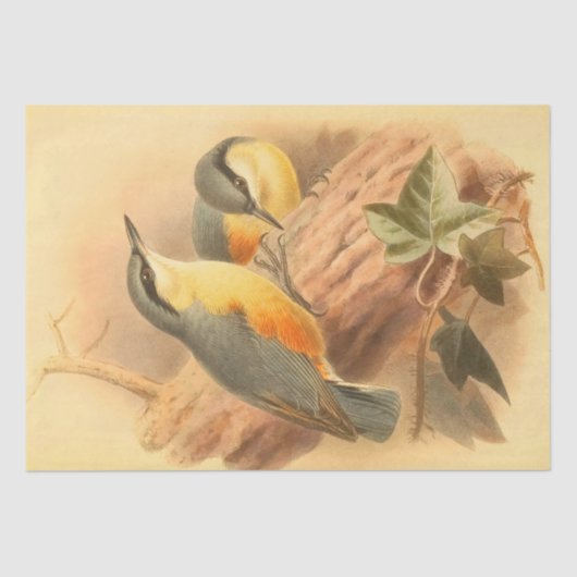 Blauwe Vogels Mooie Decopage Tissuepapier (Voorkant)