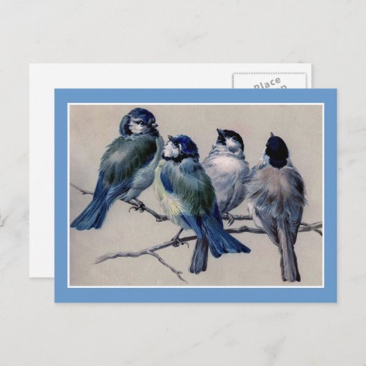 Blauwe vogels op een bijkantoor briefkaart (Voorkant / Achterkant)