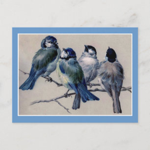 Blauwe vogels op een bijkantoor briefkaart